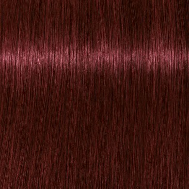 צבע לשיער שוורצקופף איגורה רויאל 60 מ"ל - Schwarzkopf