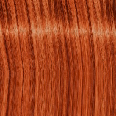 צבע לשיער שוורצקופף איגורה רויאל 60 מ"ל - Schwarzkopf